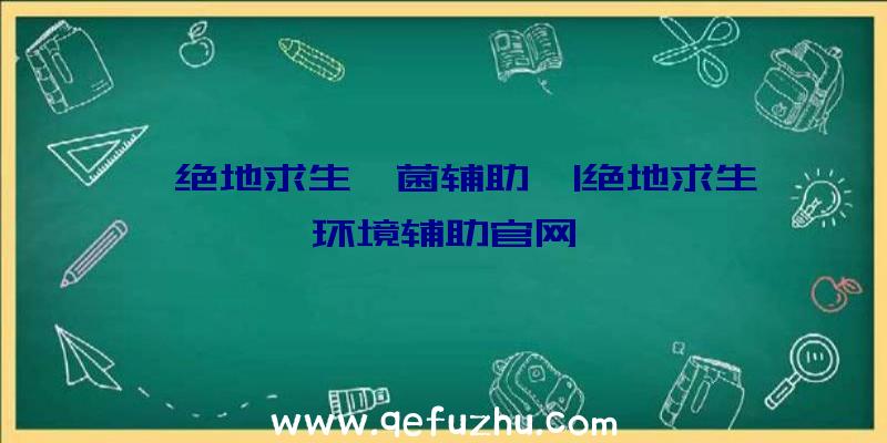 「绝地求生喵菌辅助」|绝地求生环境辅助官网